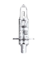 Osram OFF ROAD (H1), Halogen 12V, 1er Faltschachtel -...