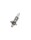 PHILIPS 12258LLECOC1 - H1 12V 55W P14.5s LongLife EcoVision 1 Stk.